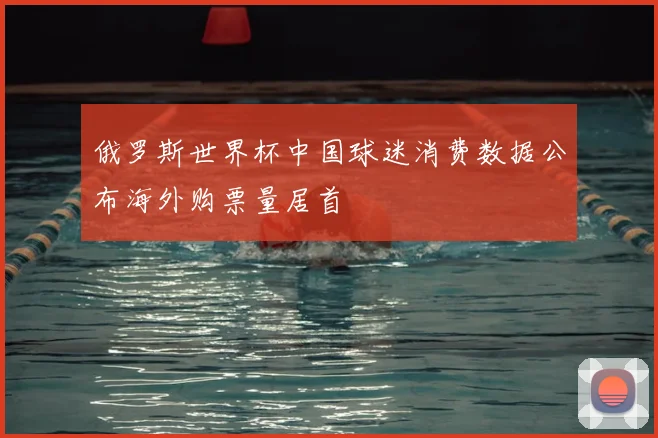 俄罗斯世界杯中国球迷消费数据公布海外购票量居首