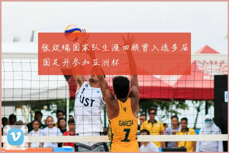张效瑞国家队生涯回顾曾入选多届国足并参加亚洲杯