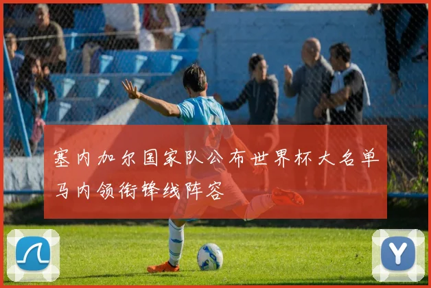 塞内加尔国家队公布世界杯大名单马内领衔锋线阵容