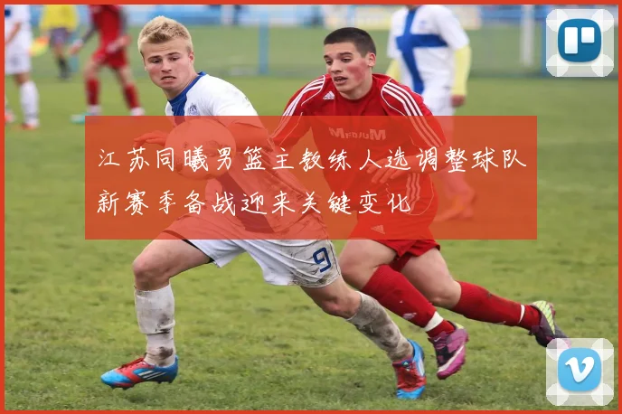 江苏同曦男篮主教练人选调整球队新赛季备战迎来关键变化