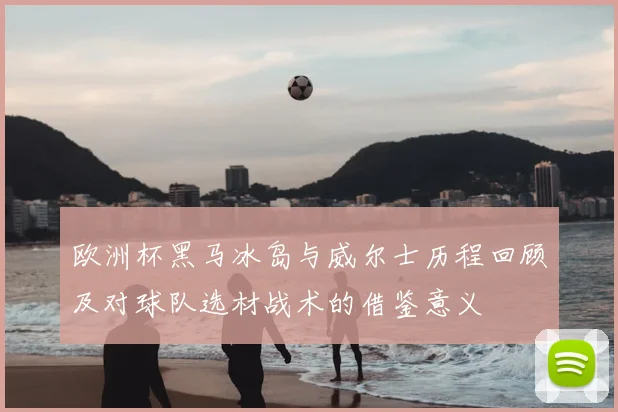 欧洲杯黑马冰岛与威尔士历程回顾及对球队选材战术的借鉴意义