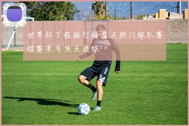 世界杯下载排行榜盘点热门球队赛程赛果与焦点进球