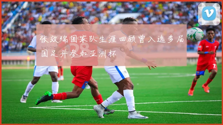 张效瑞国家队生涯回顾曾入选多届国足并参加亚洲杯