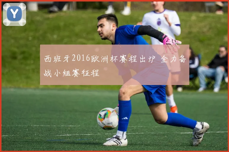 西班牙2016欧洲杯赛程出炉 全力备战小组赛征程