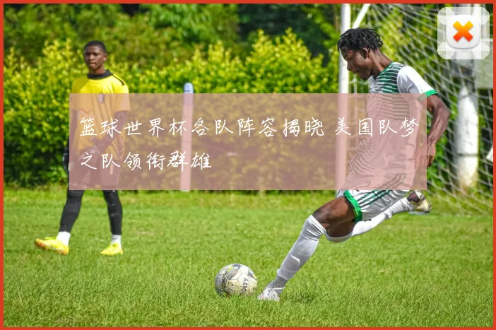 篮球世界杯各队阵容揭晓 美国队梦之队领衔群雄
