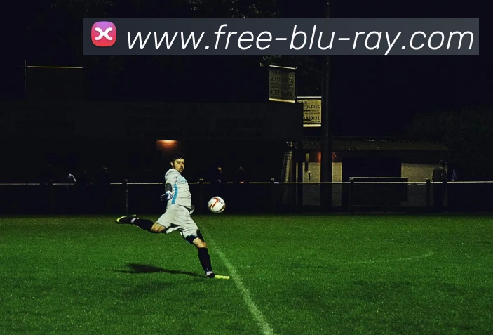 多媒体互动体验